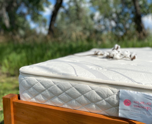 Suite Sleep 7" Botanical Latex Mattress