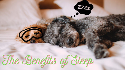 The Benefits of Sleep