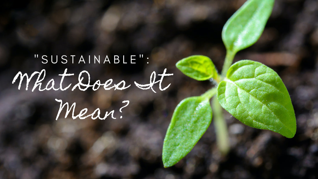 "Sustainable": What Does It Mean?