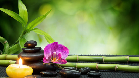 The Power of Feng Shui