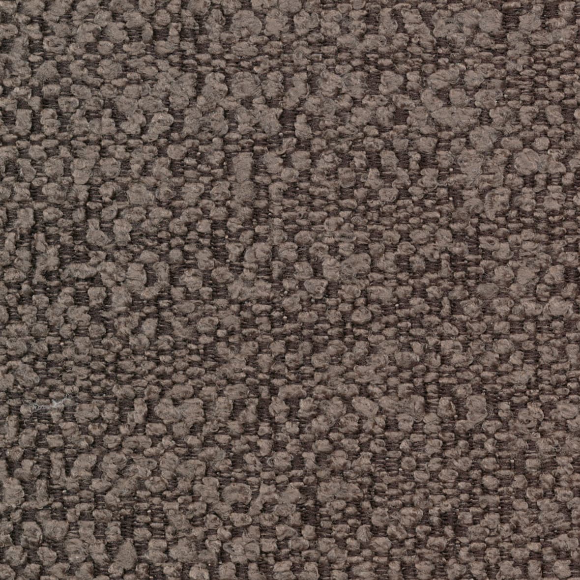 Standard / Boucle Taupe - 530