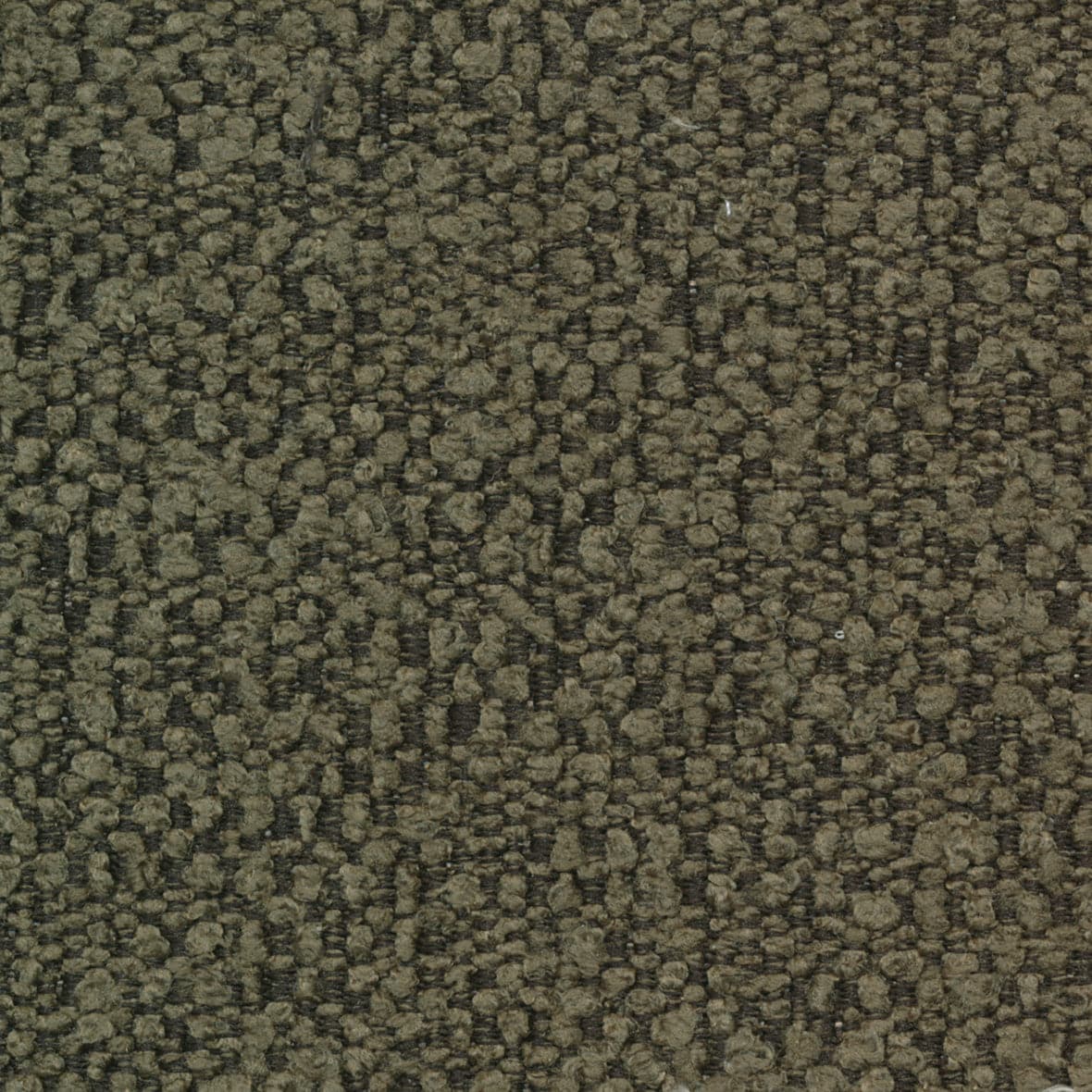 Standard / Boucle Forest Green - 535