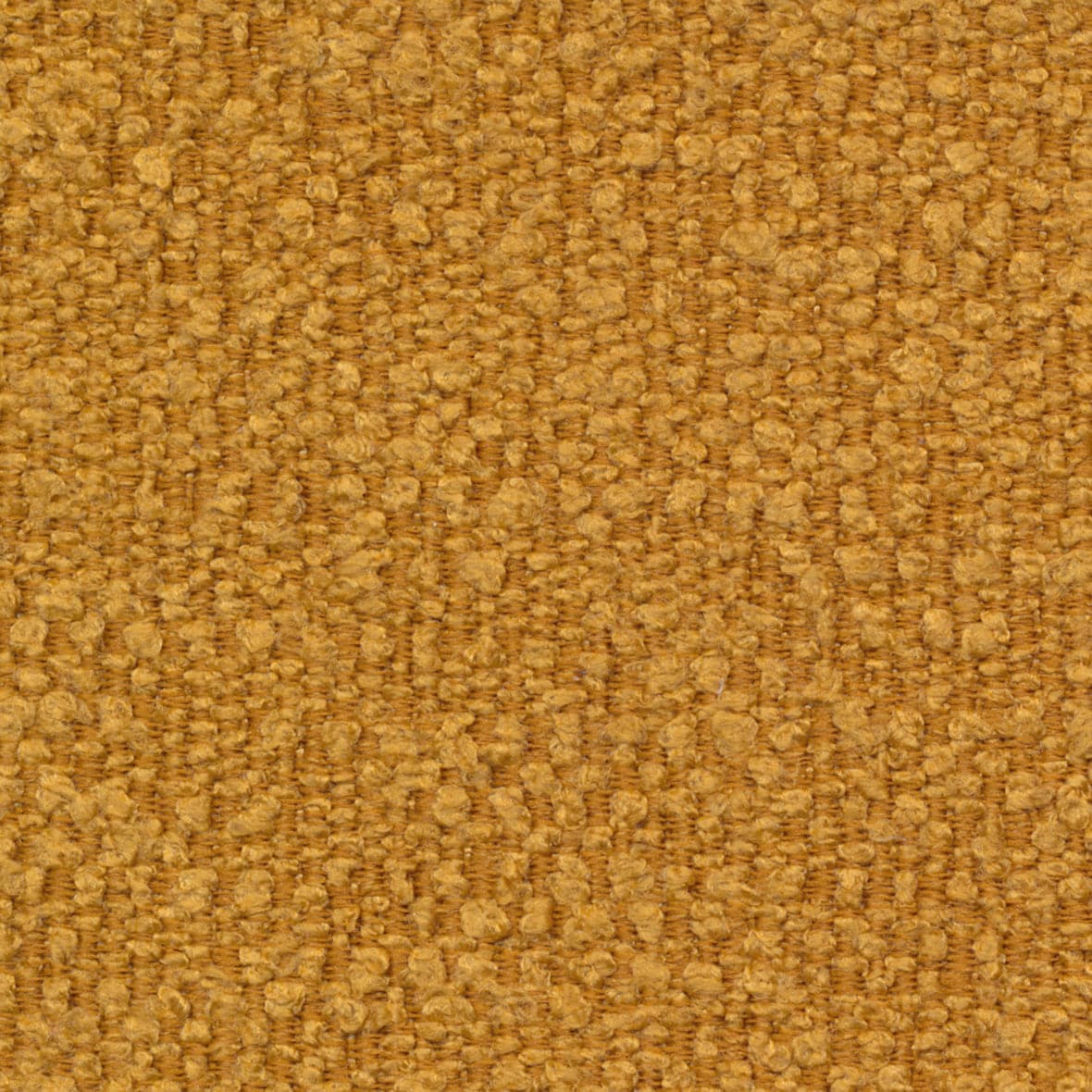 Standard / Boucle Ochre - 536