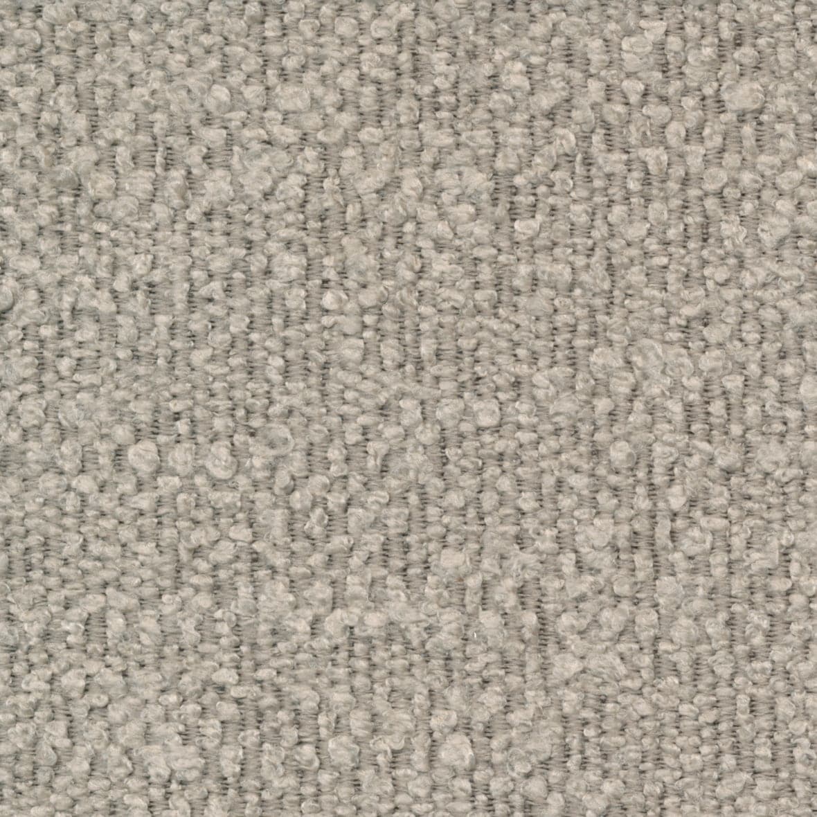 Standard / Boucle Beige - 539