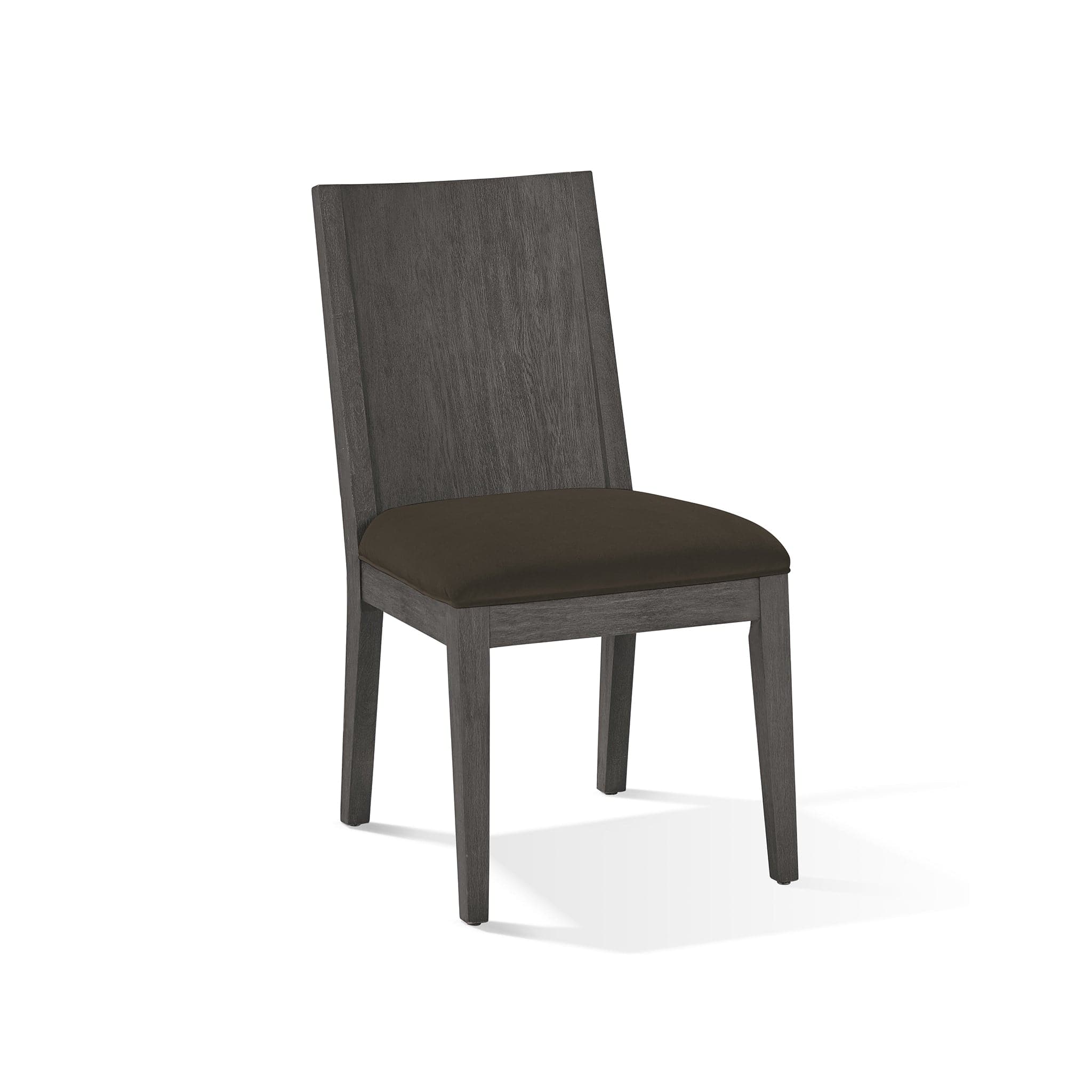 Plata Dining Chair (Set of 2)