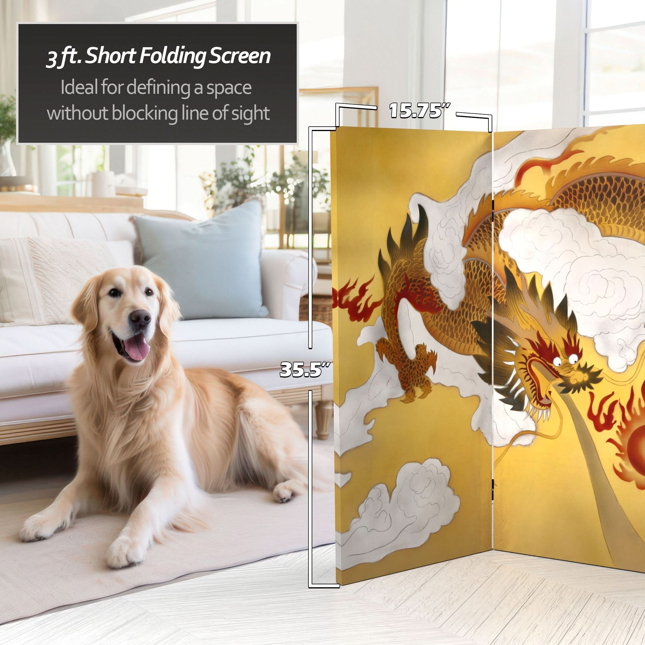 3 ft. Short Double Sided Dragon in the Sky Canvas Room Divider