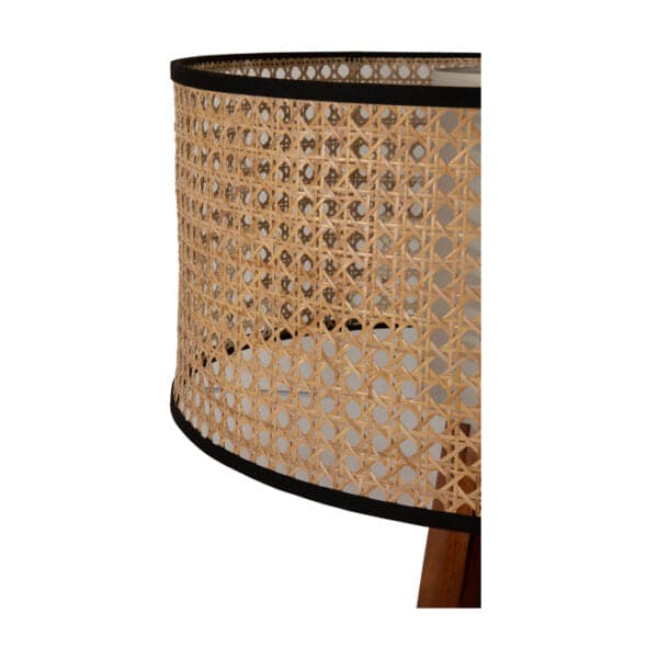 Nova Floor Lamp