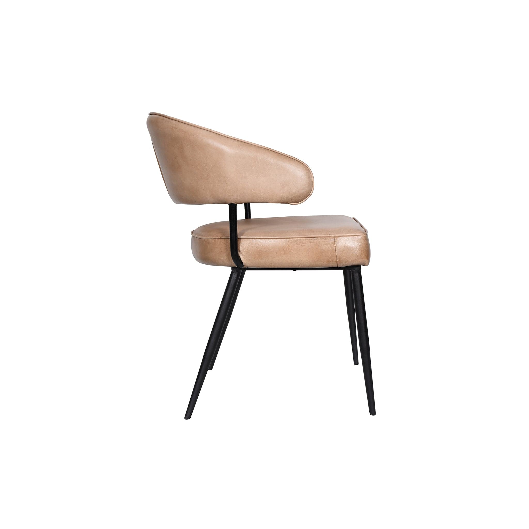 Brisben Armchair