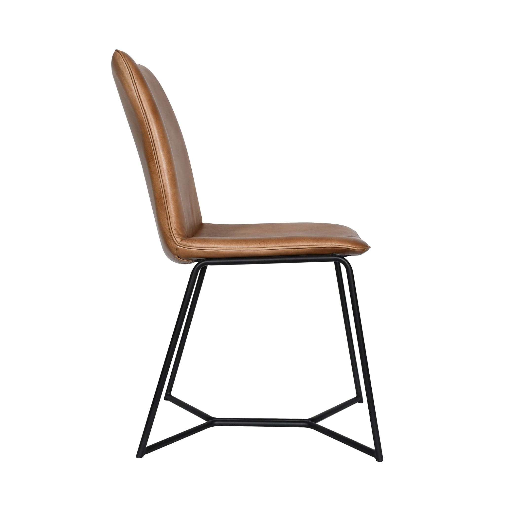 Brisben Dining Chair