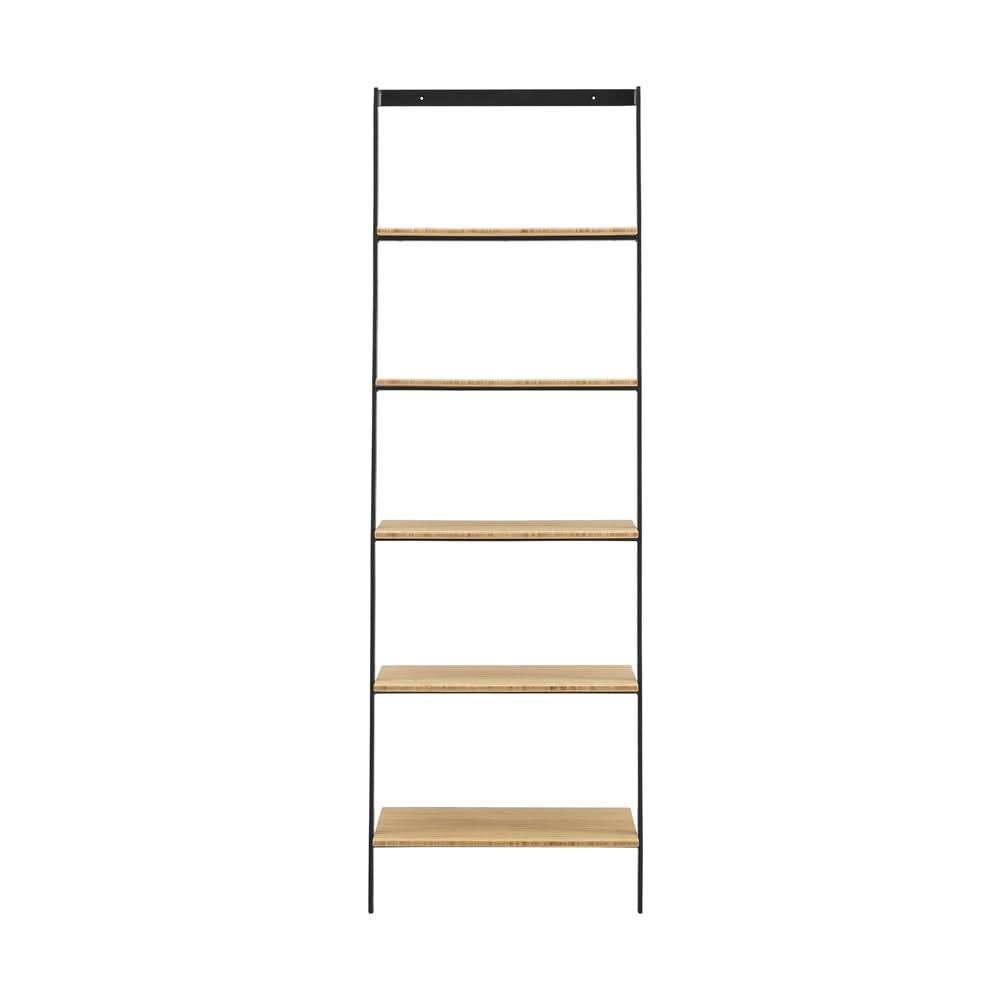 Santa Cruz Leaning Shelf