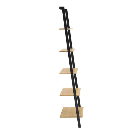 Santa Cruz Leaning Shelf