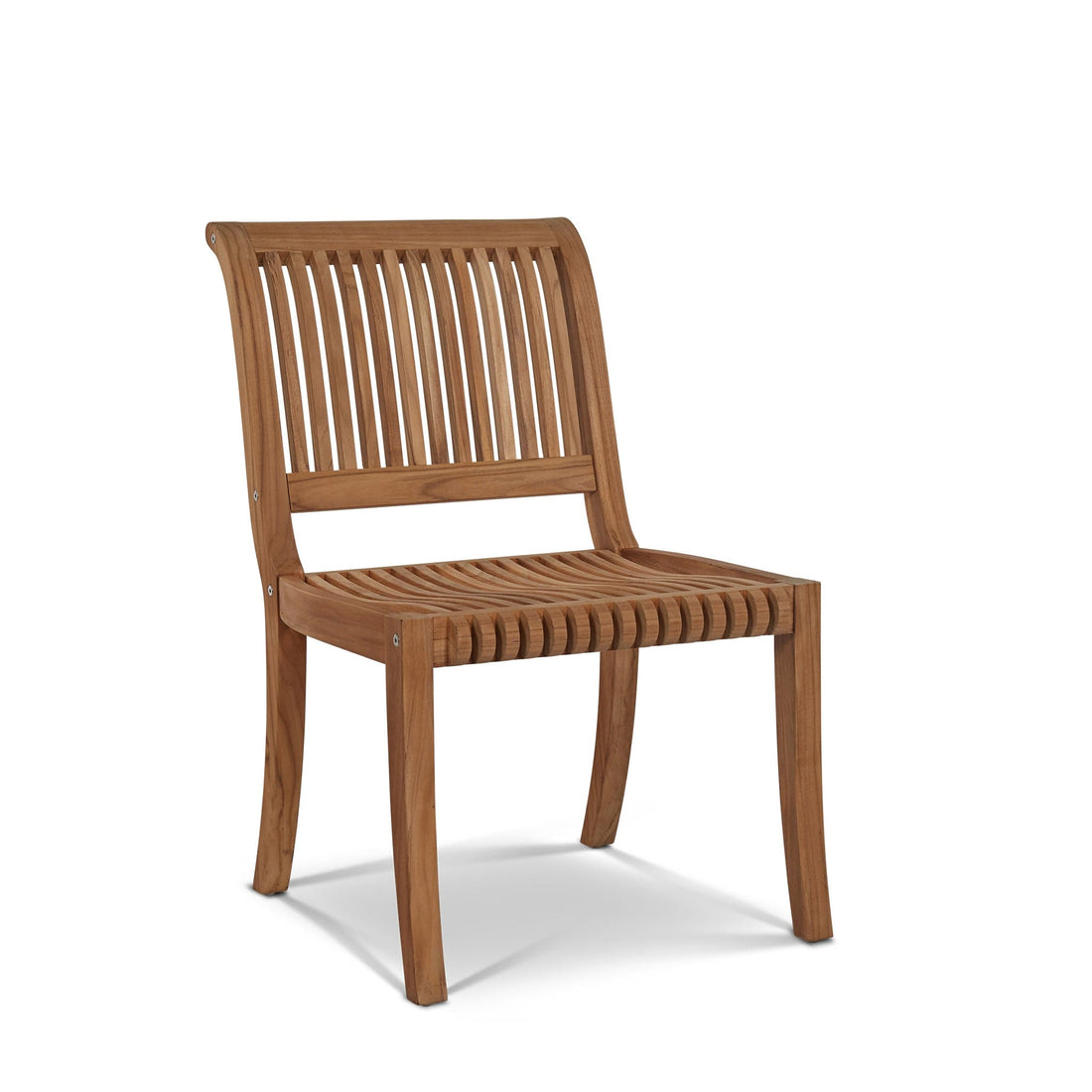 Palm Side Chair