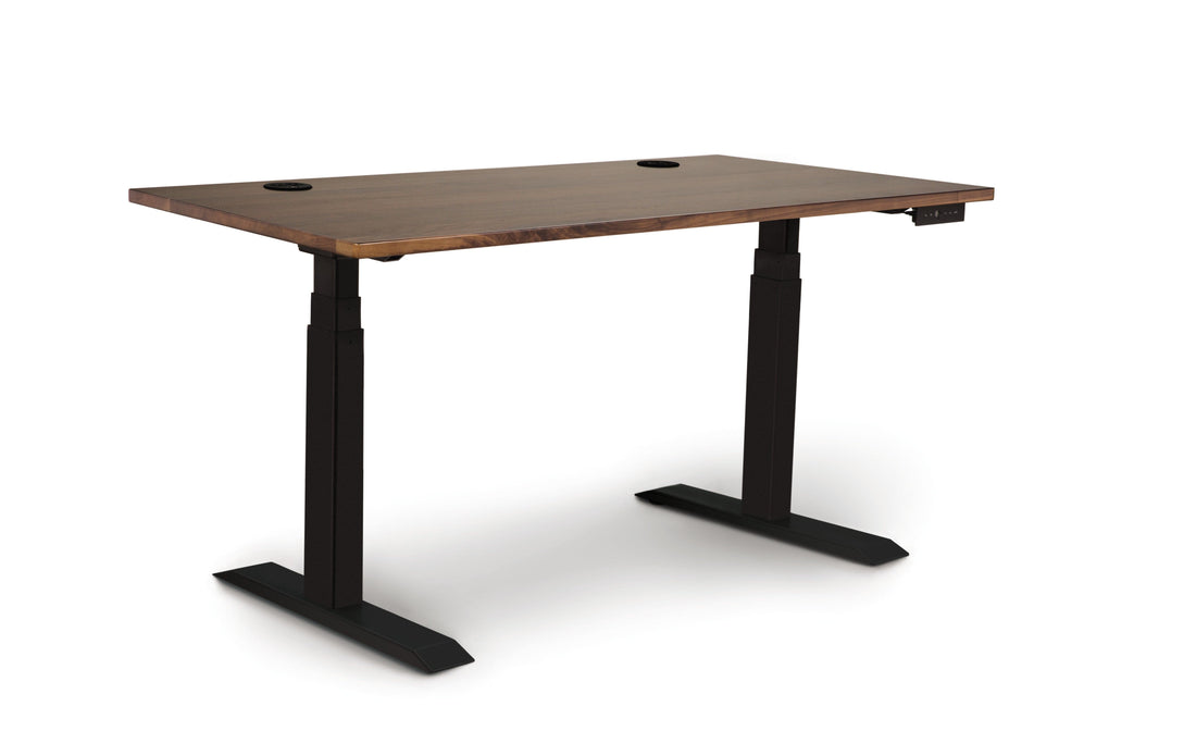 Copeland Invigo Sit-Stand Desk Basic Model