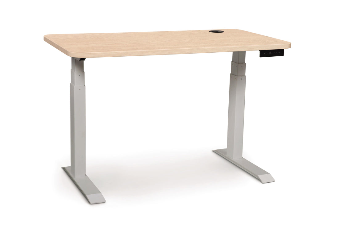 Copeland Invigo Sit-Stand Desk Basic Model