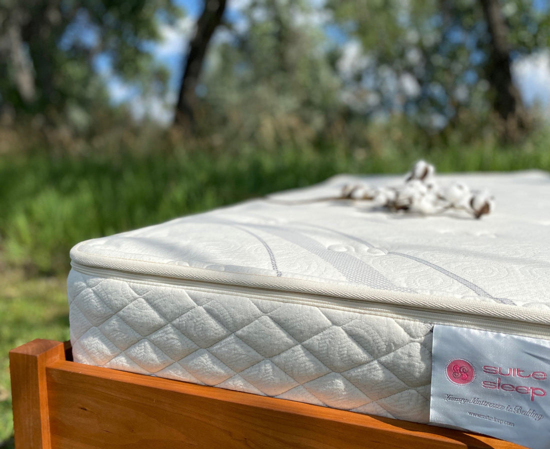 Sweet Dreams 7" Botanical Latex Mattress