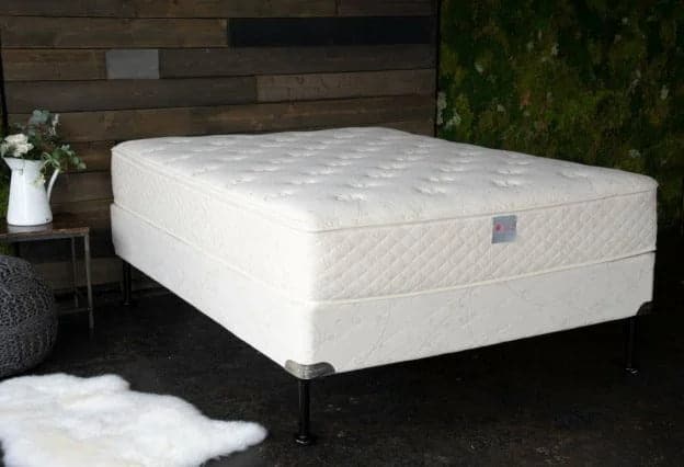 Sweet Dreams 10" Botanical Latex Mattress