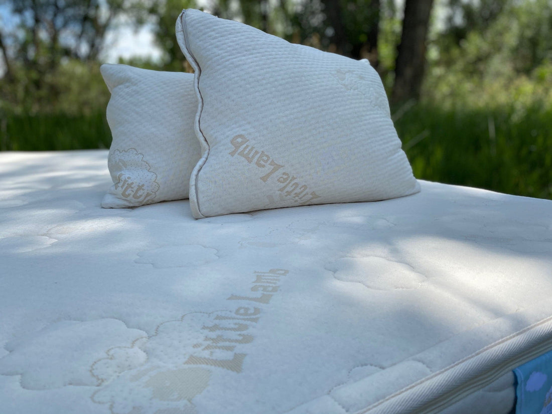 Sweet Dreams Youth Botanical Latex Mattress