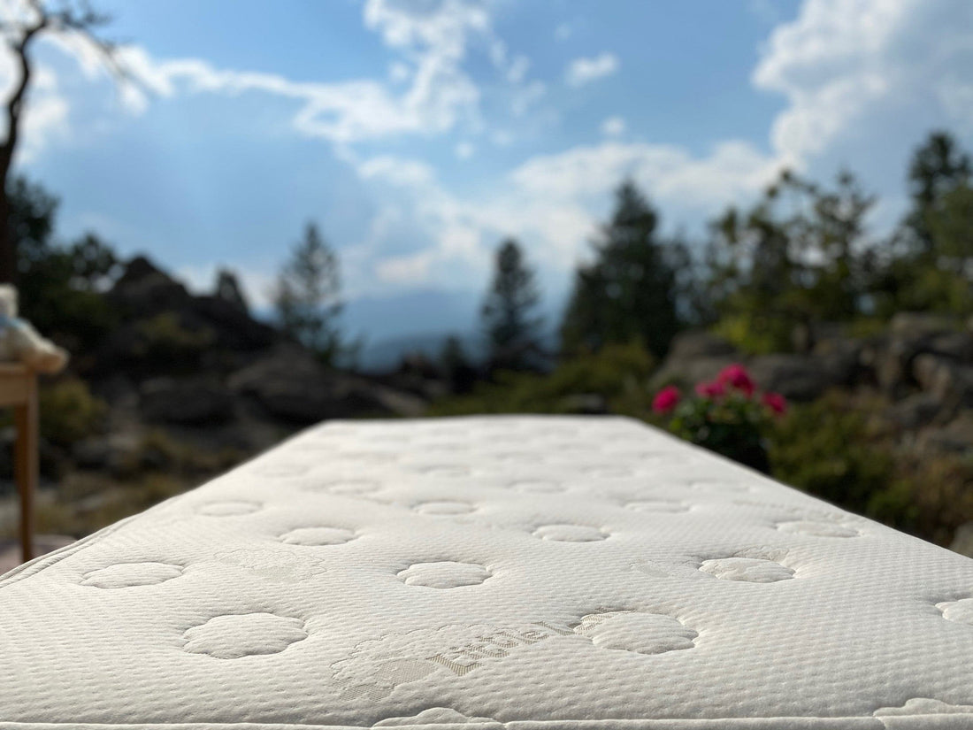 Sweet Dreams Youth Botanical Latex Mattress